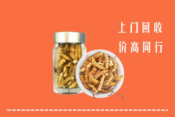 淮南回收冬虫夏草
